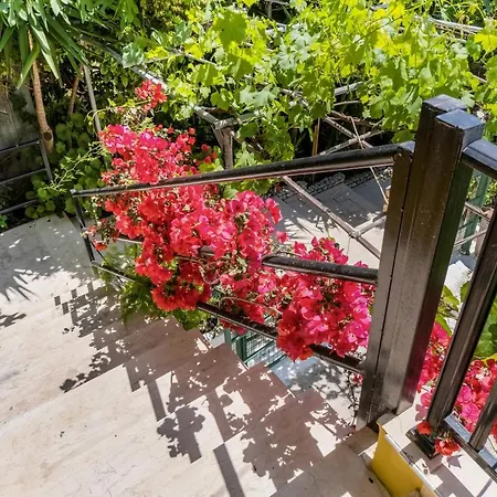 Captain Fotis 3 Appartement